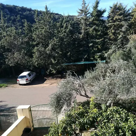 Ricante 托尔托利