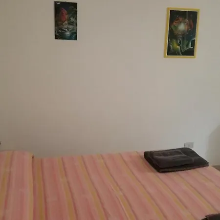 Ricante 토르톨리