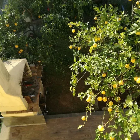 Ricante * Tortoli